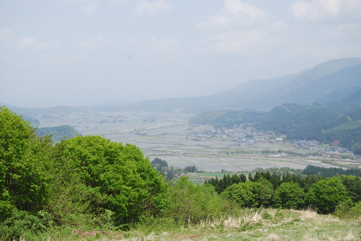 d0085096_91754.jpg