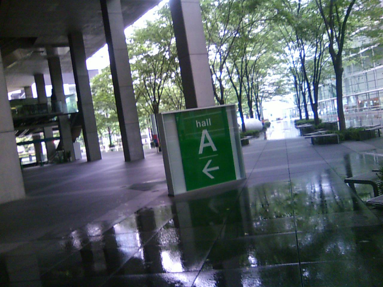 b0001402_11555459.jpg