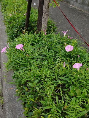 a0123003_17223857.jpg