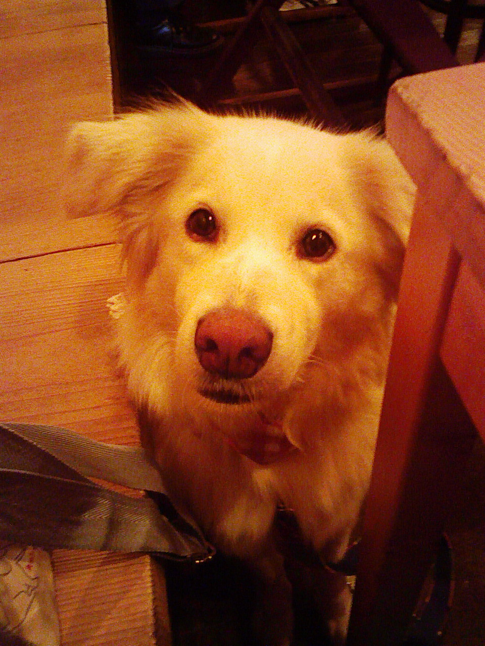 a0032004_23501810.jpg