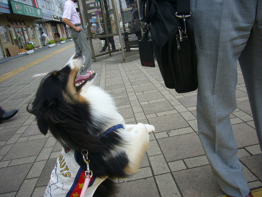 e0130008_20405322.jpg