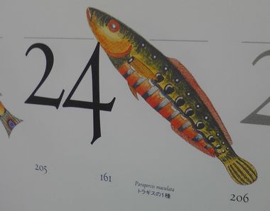 c0174711_8191617.jpg