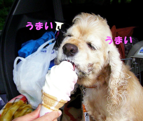 夏は、ソフトに限る・・・_b0067012_21465651.jpg