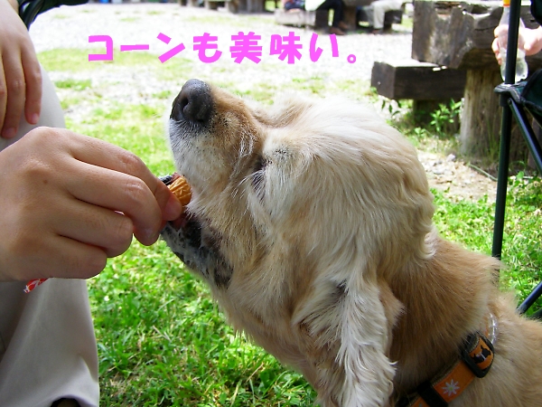 夏は、ソフトに限る・・・_b0067012_2147880.jpg