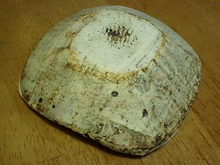 b0102023_205305.jpg