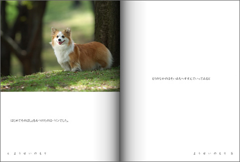 てのひらぶんこ 「ようせいのもり」_d0102523_23183972.jpg