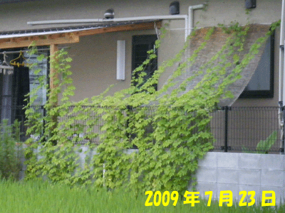 f0008935_1492573.gif