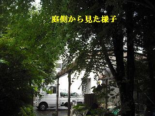現地調査他_f0031037_2113349.jpg
