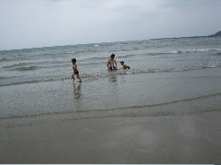 f0023446_23153611.jpg