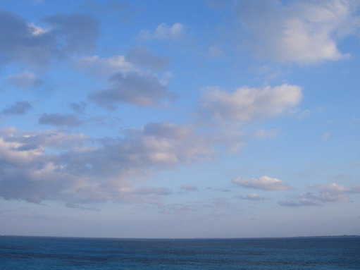 e0069647_2326816.jpg