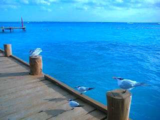 e0069647_23275429.jpg