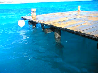 e0069647_2328568.jpg