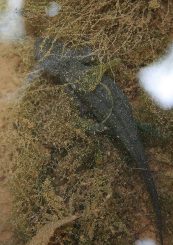 d0105749_1884644.jpg