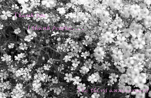 d0076352_19162381.gif