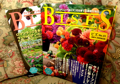 BISES_a0119753_18422624.jpg