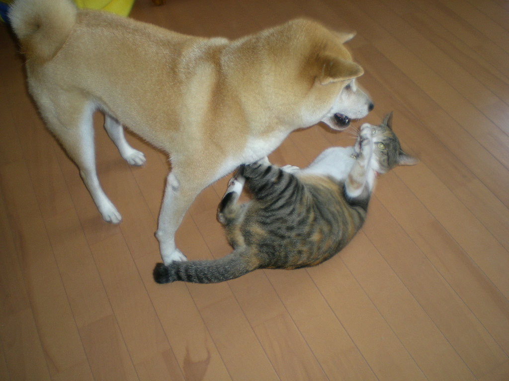2009年7月24日(金)初めての透明水彩画!_f0060461_2144965.jpg