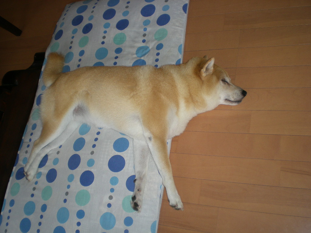 2009年7月24日(金)初めての透明水彩画!_f0060461_21464425.jpg