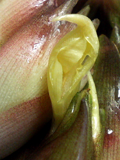 f0140174_2323898.jpg