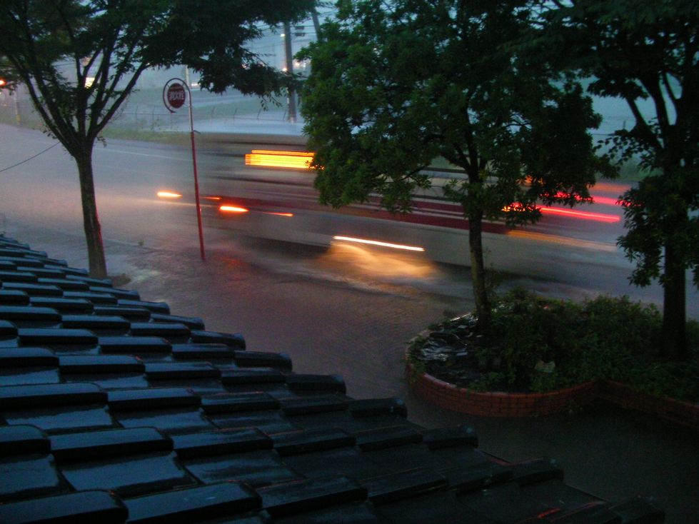 a0048975_19422971.jpg