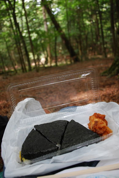 樹海に行ってきました(●´―`●)ノ_e0172592_13303968.jpg
