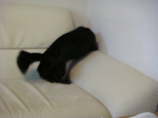 d0098295_23594250.jpg