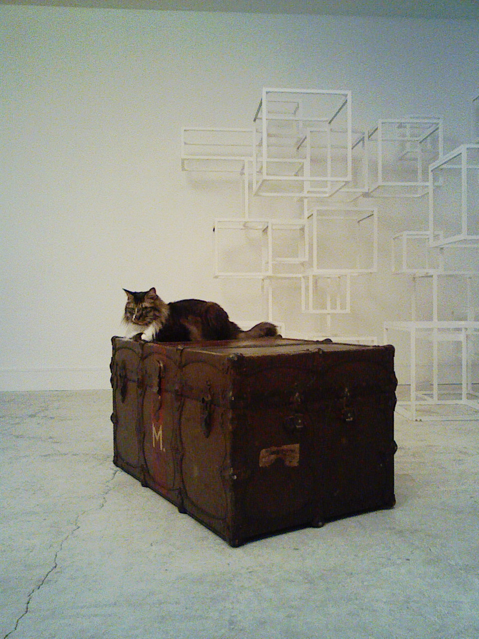 a0032004_1365722.jpg