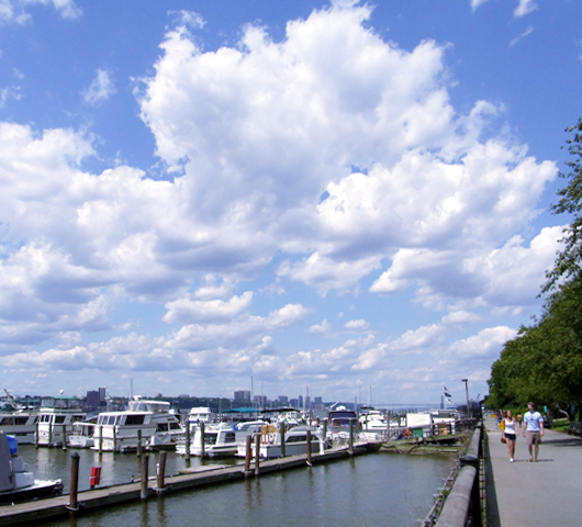 夏のニューヨークにピッタリな穴場カフェ Boat Basin Cafe_b0007805_12152153.jpg