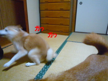 e0131506_1502069.jpg