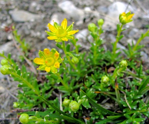 b0051109_8383485.jpg