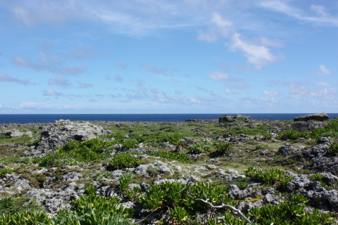 波照間島4(高那崎)_d0077811_23342262.jpg