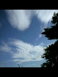 暑中お見舞い申し上げます!_f0082612_20182913.jpg