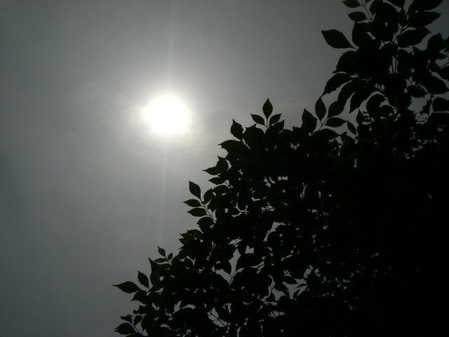 b0137913_22442314.jpg