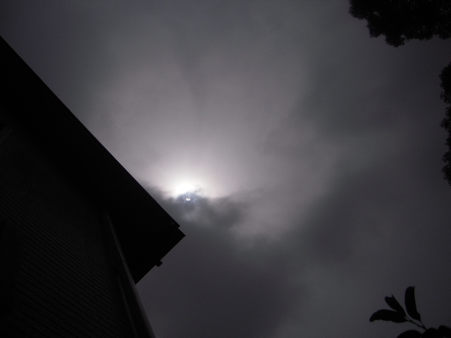 c0085916_33576.jpg