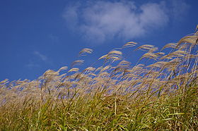 b0080718_8444674.jpg