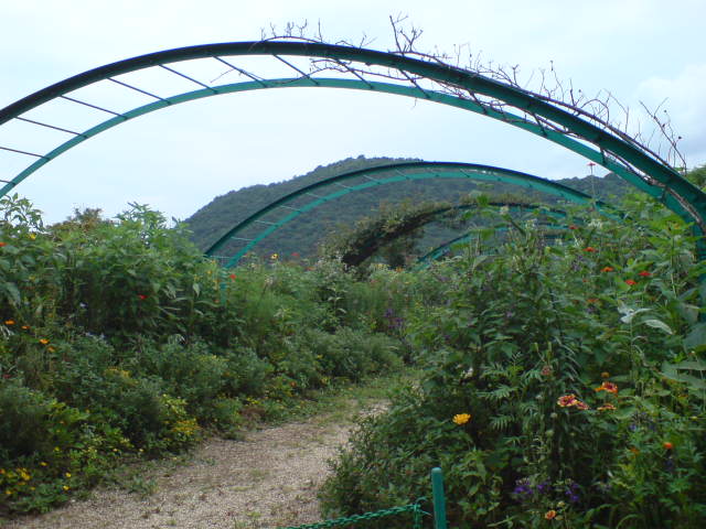 e0135518_14292159.jpg