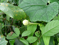 f0086618_23364558.jpg