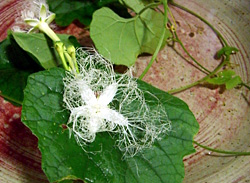 f0086618_23394127.jpg