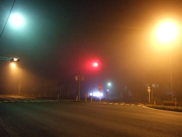 f0143119_2022914.jpg