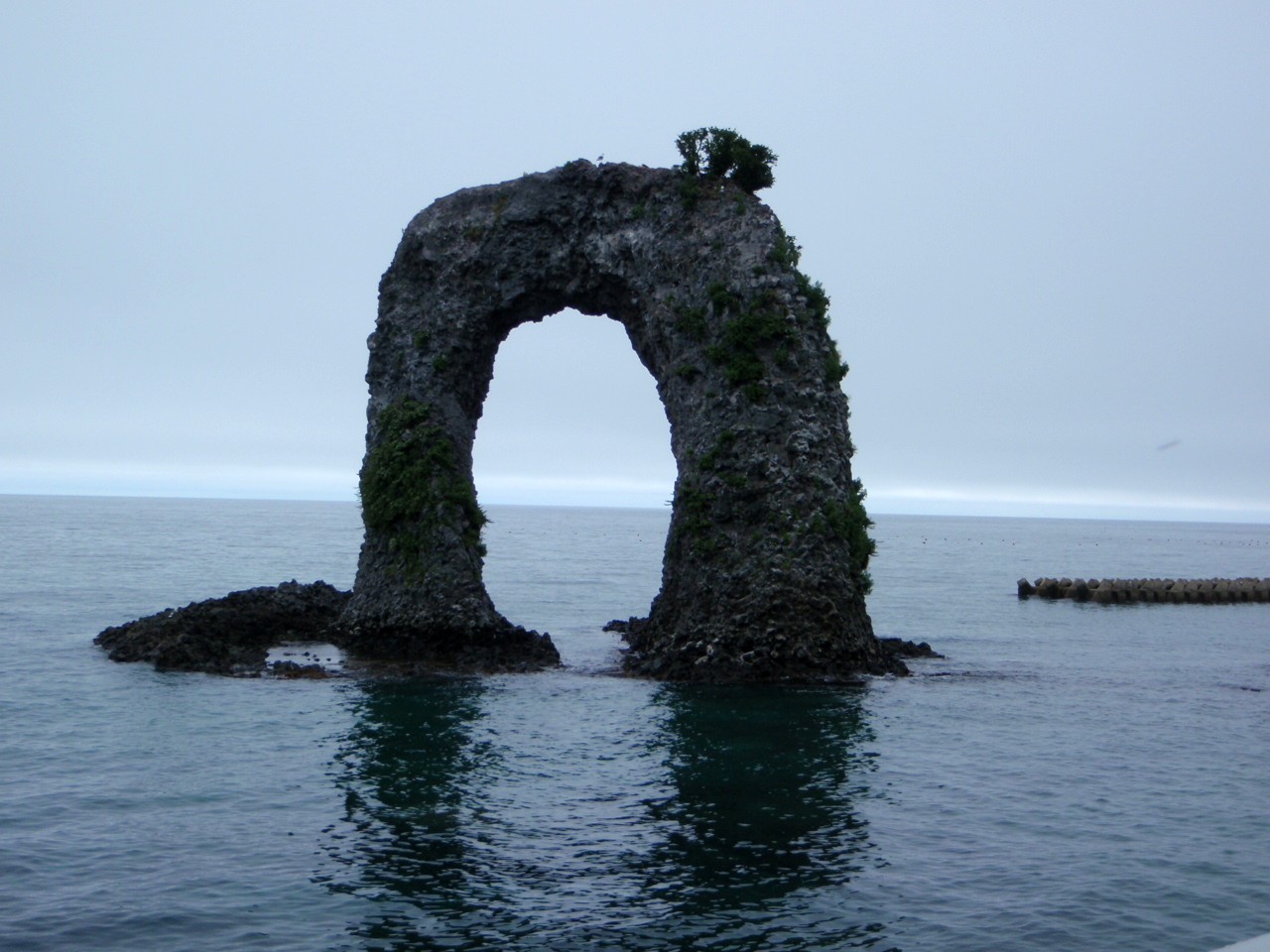 a0001020_1115180.jpg