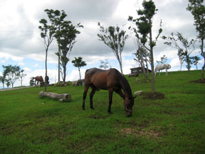 b0056325_2365140.jpg