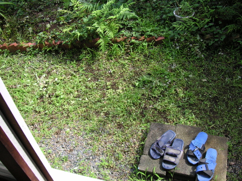 教室の黒板のような背中_c0048132_16142417.jpg