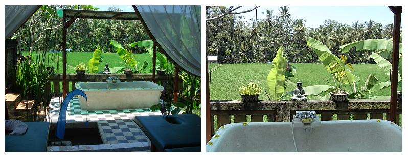 「Beji Ayu Outdoor Spa」で極楽気分♪_e0039033_128555.jpg