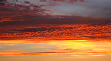 a0126341_23218.jpg