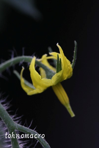 f0173245_645165.jpg