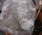 b0087556_22534695.jpg