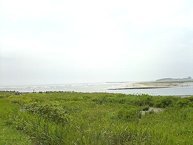 a0096557_20495710.jpg