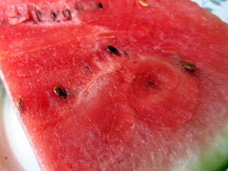 b0016557_652371.jpg