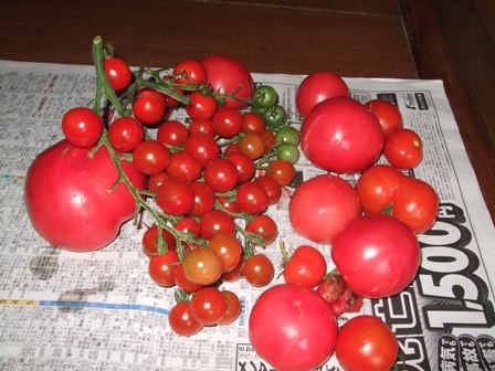 c0111557_21212661.jpg