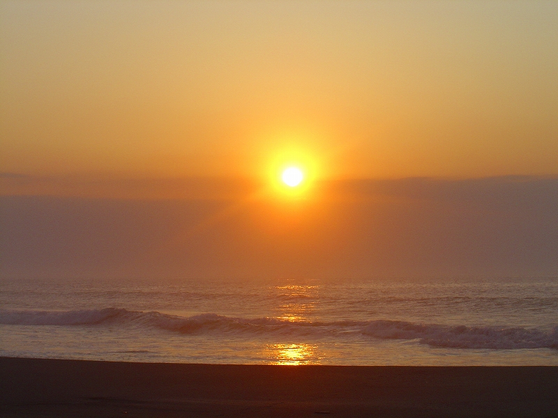 f0142558_92506.jpg