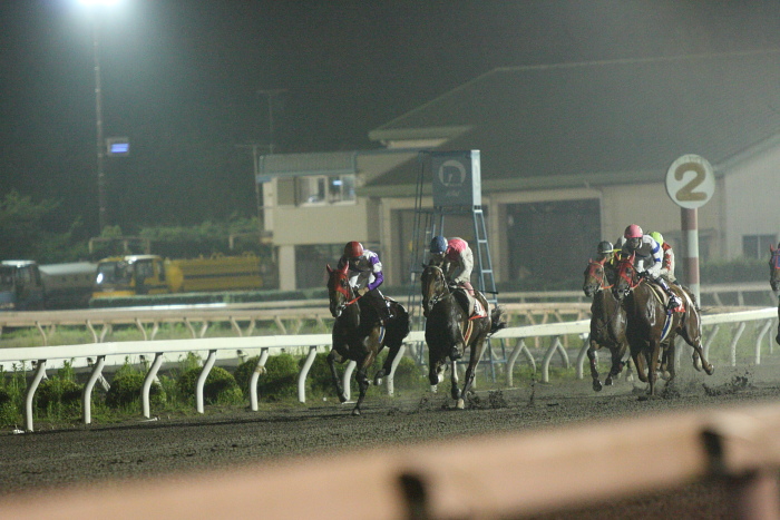 2009年7月25日（土） 高知競馬 9R 芋けんぴ特別 C1 選抜馬_a0077663_23345776.jpg